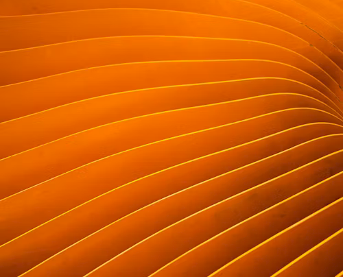 orange waves